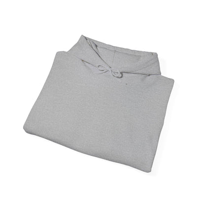 Don't Be Lame Leave the Passing Lane Hoodie